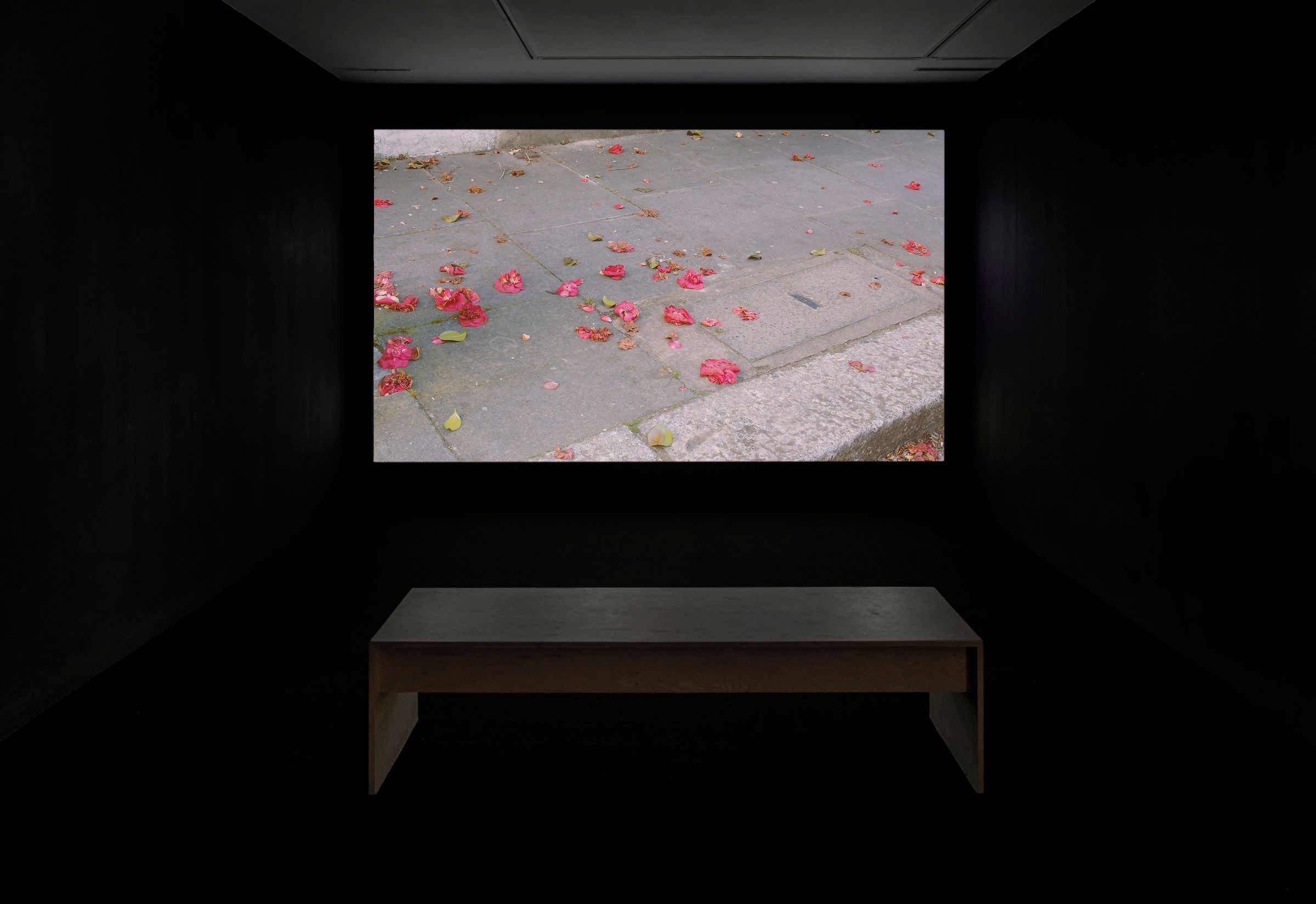 Erdem Taşdelen - A Moving Target (2021-2022)