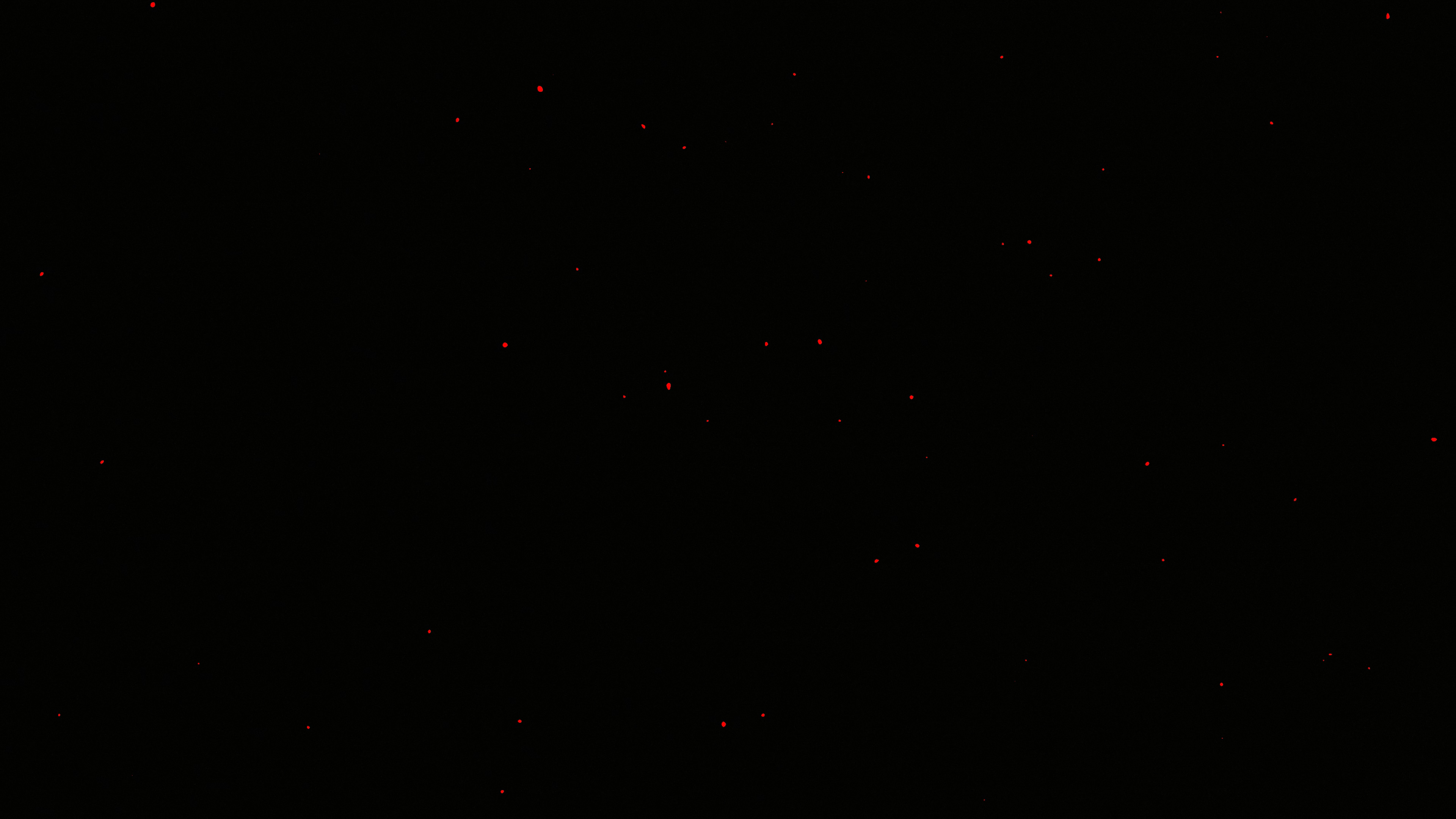 Erdem Taşdelen - Frictions (2024)